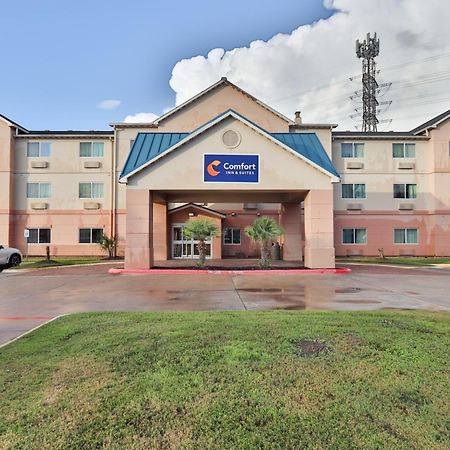 Comfort Inn & Suites Вестфілд Екстер'єр фото